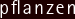Pflanten